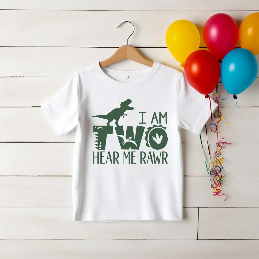 Dinosaur Birthday Shirt for Boys Hear Me Rawr