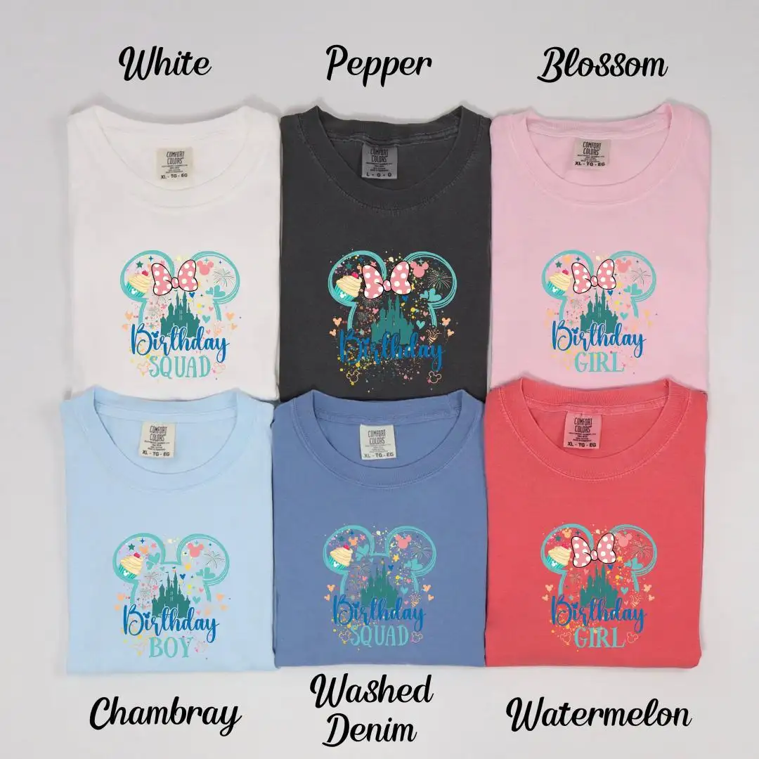 Disney Birthday Shirt for Boys Birthday Squad