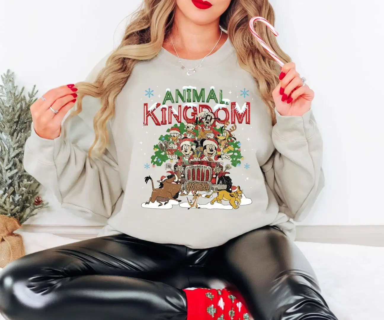 Disney Animal Kingdom Christmas Shirt, Lion King Xmas Sweatshirt, Mickey & Friends Christmas Shirt, Disneyland Matching Tee, Xmas Safari Tee